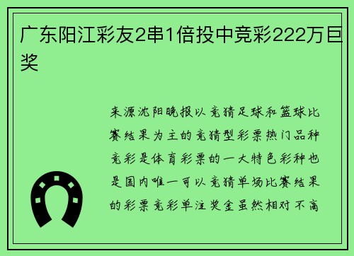 广东阳江彩友2串1倍投中竞彩222万巨奖